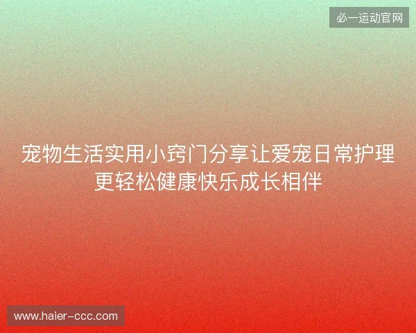 宠物生活实用小窍门分享让爱宠日常护理更轻松健康快乐成长相伴